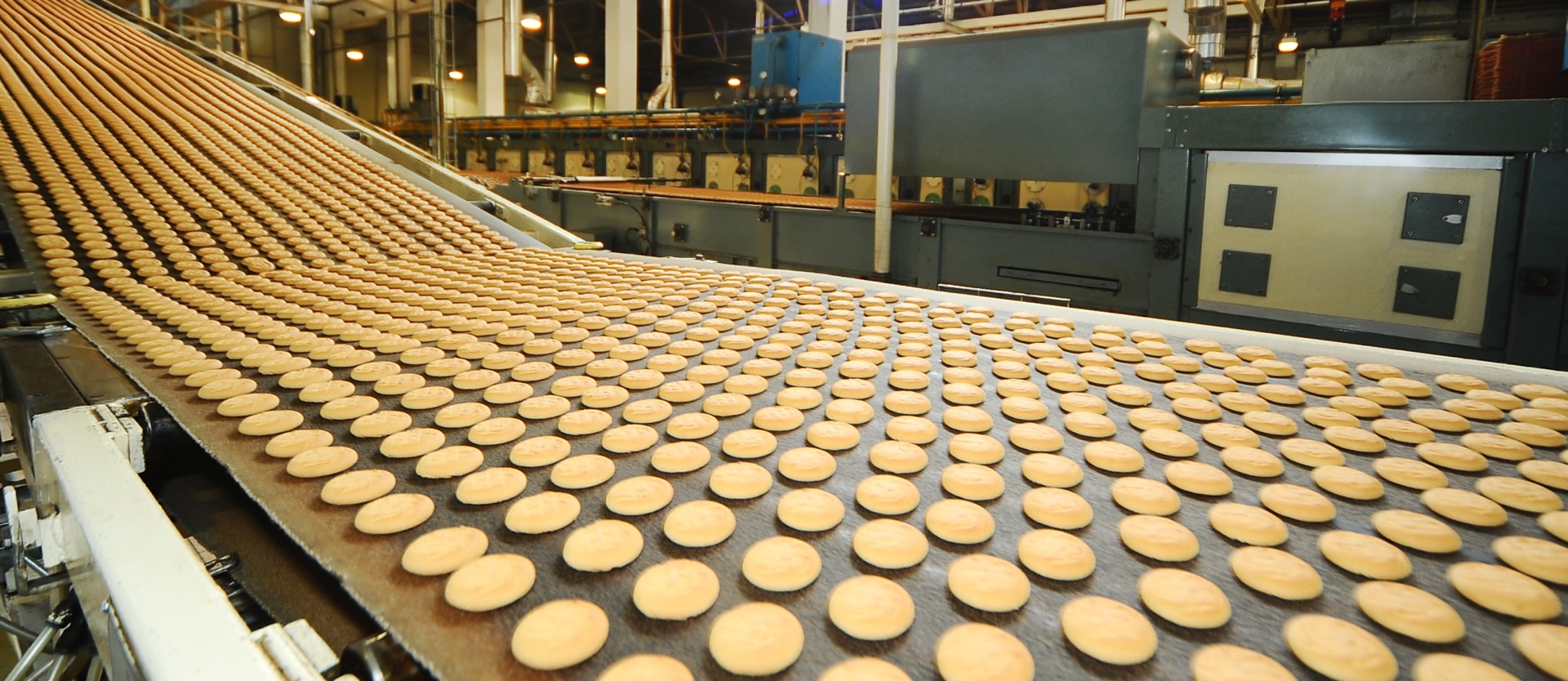 Il Settore Alimentare Italiano Punta Sempre Pi Su Sostenibilit E 